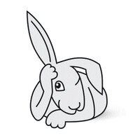 Schlafender Hase